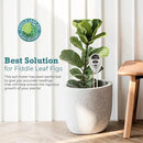 Houseplant Resource Center Fiddle Leaf Fig 3-in-1 Soil Moisture Meter for Plants – Best Indoor Plant Water Meter for Potted Houseplants - Light & Moisture Sensor Probe for Optimal Growth by GreenHaven Gardens