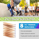 Skateboard,31 x 8 Inch Complete Skateboard, 8-Layer Maple Wood Deck Double Kick Standard Skateboards for Kids, Teens, Adult, Beginner by TinyTreasures Baby Boutique