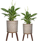 10 & 12 Inches Plant Pot with Stand, Large Modern Standing Planters for Indoor Outdoor Plants with Drainage Holes, Big Gold Floral Embossed Flower Pots with Legs by CozyNest Decor