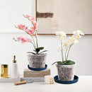 Ceramic Plant Saucer Plant Pot Tray 2 Pack 4.7 6 7 8 9 10 12 13 15 inch Blue, Planter Water Drip Trays for Plant Saucers Indoors, Thick Durable Sturdy Flower Pot Saucers for Glazing Pots Base by GreenHaven Gardens