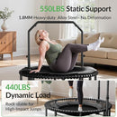 BCAN 40"/48" Mini Rebounder Trampoline for Adults with Bar, 450/550LBS Fitness Trampoline with Bungees, Adjustable Handle, Stable & Quiet, Indoor Outdoor, Whole-Body Workout & Relaxation at Home by TinyTreasures Baby Boutique