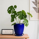 Ceramic Planter Pot - 8 Inch Plant Pot with Drainage Hole and Tray Round Planter Modern Flower Pot for Indoor Outdoor Plants Decorative Garden Pot Blue by GreenHaven Gardens