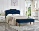 24KF Upholstered Button Tufted Queen Headboard with Nailhead Trim, Soft Velvet Fabric Headboard Queen/Full WM-6031-Q-NAVY by CozyNest Decor