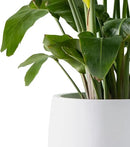Kante 19.6" Dia Round Concrete Planter, Outdoor Indoor Garden Plant Pots with Drainage Hole and Rubber Plug, Modern Curvaceous Design, Pure White by GreenHaven Gardens