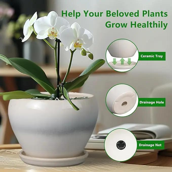 10 Inch Ceramic Planter Pot - Large Plant Pot with Drainage Hole and Saucer Round Flower Pot for Indoor Plants, White, photo 5 of 7
