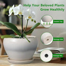 Planter Pot 6 Inch - Ceramic Plant Pot with Drainage Hole and Saucer, Round Glaze Succulent Pot for Plants, White by GreenHaven Gardens
