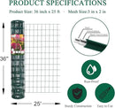 Green PVC Coated Welded Wire Fence 36 Inch x 25 Foot, 2 Inch x 3 Inch 16GA, Garden Border Fencing Roll Vinyl Coating Metal Wire Mesh for Yard Vegetable Plant Protection Poultry Netting by GreenHaven Gardens