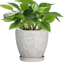 6 Inch Ceramic Plant Pot for Indoor Plants Outdoor Round Planter Flower Pot with Drainage Hole and Saucer for Home Garden Office Decor White by CozyNest Decor