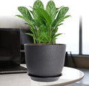 12/10/9 Large Modern Plant Pots, Plastic Planters with Drainage Holes and Saucers for Indoor Outdoor Plants Flowers, Black by GreenHaven Gardens
