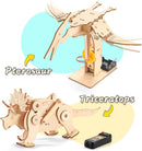Dinosaur STEM Kits for Kids Ages 6-8-10-12, 4 in 1 Wood Building Toys for Boys Age 8-12, Build It Yourself Woodworking Kit, DIY 3D Wooden Puzzles Model Science Crafts for Kids, Stem Projects by TinyTreasures Baby Boutique