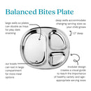 Ahimsa Stainless Steel Plates for Kids - Divided Plates for Toddlers, Pediatrician Designed, Non Toxic Toddler Plate, Camping Plate, BPA Free & Dishwasher Safe (Set of 4) by TinyTreasures Baby Boutique