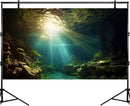 Fish Tank Background Under The Sea Aquarium Background Ocean Floor Sunray Rock Terrarium Backgrounds Coral Reef Aquatic Plants Underwater Cave Aquarium Wallpaper for Fish Tank Decorations 48x20in by GreenHaven Gardens