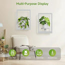 Picture Frame Wall Plant Holder, Metal Window Plant Shelves Plant Holder for Indoor Plants, Hanging Wall Planters Wall-Mounted Plant for Home, Office, and Garden (White, 2PCS) by GreenHaven Gardens