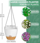 ZMTECH 12 Inch Hanging Planters for Indoor Outdoor Plants, 1 Pack Self Watering Hanging Plant Pots with Drainage Holes and Removable Saucer, Plastic Flower Hanging Pots with Watering Lip (White) by GreenHaven Gardens