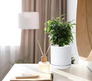 D'vine Dev 6 Inch Ceramic Planter Pot with Drainage Hole and Saucer, Indoor Cylinder Round Flower Pot, White, 94-O-C-1 by GreenHaven Gardens