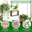 Ivolador Plant Propagation Station Terrariumin Wall Test Tube Vases Bud Tabletop Glass Wooden Stand with 5 Propagation Tubes for Propagating Hydroponic Plants Home Garden Wedding Decoration-Brown by GreenHaven Gardens