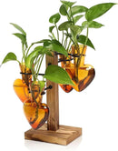 Plants Propagation Stations Plant Terrarium Kit Glass Planters for Indoor Plants House Plant Accessories Gift for Women - 4 Love Bulb Vase by GreenHaven Gardens