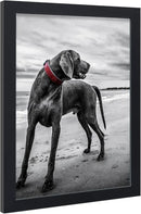VCK 18x24 Poster Frames 3 Pack Black MDF Wood and Polished Plexiglass Frame,Display Pictures in Horizontal and Vertical by CozyNest Decor