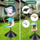 Smart Bird Feeder Pole Stand 79In,Adjustable Height Metal Bird House Pole for Outdoor Garden with Multiple Mounting Options (Black, Round Squirrel Baffle - High 79in) by GreenHaven Gardens