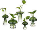 Glasseam Mushroom Plant Propagation Stations: Green Glass Terrarium Jar Set of 5 Cute Planters for Indoor Plants Mini Propagate Station Unique Christmas Birthday Gifts for Women Home Office Decor by GreenHaven Gardens