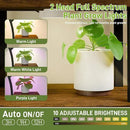 Plant Stand Indoor with Grow Lights, 6 Tier 38.6″ Tall Metal Plant Shelf for Multiple Plants, Plants Shelves Corner Flower Holder, Double U-Shape Plant Rack for Home, Living Room, Patio, Bedroom by GreenHaven Gardens