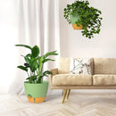 ZMTECH 12 Inch Hanging Planters for Indoor Outdoor Plants, 2 Pack Self Watering Hanging Plant Pots with Drainage Hole, Visual Reservoir, Plastic Flower Hanging Pots with Watering Lip (Green) by CozyNest Decor