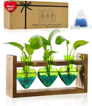 Nacome Plant Terrarium for Office Decor: Birthday Gifts for Plant Lovers Women Mom Wife - Wooden Stand Tabletop Planter 3 Bulb Glass Vase Heart Shaped for Hydroponics Indoor Home(Green) by GreenHaven Gardens
