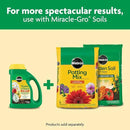 Miracle-Gro Shake 'N Feed All Purpose Plant Food, For In-Ground and Container Plants, Feeds for up to 3 Months, 4.5 lbs. by GreenHaven Gardens