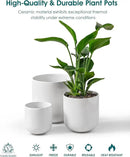 vancasso 6+8+10 inches Ceramic Plant Pots, Set of 3, Planters with Drainage Hole, Flower Pots Planters Pots for Indoor Plants, Modern Indoor Decorative Garden Pot, Home Decor, White by GreenHaven Gardens