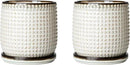 D'vine Dev Set of 2 Ceramic Plants Pots, 4 Inch Beaded Stoneware Flower Pot for Plants with Drainage Hole and Saucer, Smoked White, 27-E-Z-1 by GreenHaven Gardens