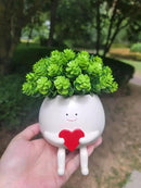 Face Planter Pots Head Cute Resin Cactus for Indoor and Outdoor Face Vase Home Decor Bookshelf Decor Unique Loving Heart Succulent Pots by GreenHaven Gardens