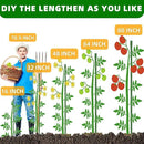 Garden Stakes 16 Inch 70 Pack, Diy 4ft 5ft 6ft 7ft 8ft Tomato Stakes Plastic Coated Metal Plant Sticks Stakes Supports with 40 Connectors 30 Rotatable Clips for Indoor Outdoor Plants Vegetable by GreenHaven Gardens