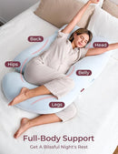 Momcozy Pregnancy Pillows for Sleeping, U Shaped Full Body Pillow 57 Inch for Pregnant Women with Back, Hip, Leg, Belly Support, Washable Jersey Cotton Cover Included, Light Blue by TinyTreasures Baby Boutique