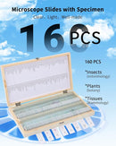 160-Pcs Microscope Slides with Specimens,Pre-Made Glass Slides with Specimens,Educational Microscope Slides and Covers for Young Scientists,Perfect for Biology Class and Experiments by TinyTreasures Baby Boutique