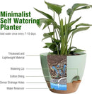 10/9/8 inch Self Watering Pots, Planter, Plant Pots with Mesh Drainage Holes for Indoor Outdoor Garden Plants, Plastic Flower Pots with Deep Reservoir for House Plants, Green with Brown by GreenHaven Gardens