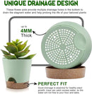 Indoor Self Watering Planters with Drainage Holes and Saucers, 9,8, 7.5 Inches, Green, 3 Pots (Springgreen) by GreenHaven Gardens
