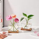 4 Pack Plant Propagation Station with Wooden Base Glass Terrariums for Indoor Plants Decorative Round Vases for Flowers Hydroponic Planter for Home Office Decor by GreenHaven Gardens