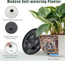 T4U 10 Inch Self Watering Pots for Indoor Plants, Plastic Plant Pots with Drainage Hole, Large Flower Pots for Indoor Outdoor Plants Cactus, Garden, Set of 2, White by GreenHaven Gardens
