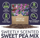 Sweet Pea Seeds Royal Mix - Bulk 1 Ounce Packet - Over 350 Seeds - Large Fragrant Lavender, Purple, Red, Pink and White Blooms by GreenHaven Gardens