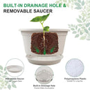 6 Pack 10 inch Plant Pot, Outdoor Pots for Plants with Drainage Hole & Tray Saucer, Round Plastic Plant Pot, Decoration Flower Pots for Indoor Plants Home Garden Outdoor Planters (White) by GreenHaven Gardens