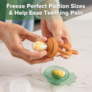 Haakaa Baby Fruit Food Feeder & Mini Freezer Nibble Tray Combo, Breastmilk Popsicle Molds for Baby Cooling Relief, BPA Free Silicone Feeder for Safe Infant Self Feeding, 4 Month+ (Pumpkin) by TinyTreasures Baby Boutique