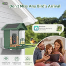 Smart Bird Feeder with Camera, AI Species Identify, Dual Solar Powered Birdfeeder Cam for Outside IP65 with 2.4GHz WiFi, 2K HD Auto Capture Birds Video for Bird Lover (Green) by CozyNest Decor