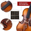 Rhythm Violin Set for Beginners,Acoustic Violins Starter Kit Package for Student,Beginners Fiddle with Hard Case, Rosin, Shoulder Rest, Bow, and Extra Strings (MATTE, Full) by TinyTreasures Baby Boutique