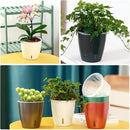 Self-Watering Pots for Indoor Plants, 6-Pack 6.7'' Self Watering Planter with Drainage Holes, Small African Violet Pots with Water Indicator, Clear Wick Pot, Black by CozyNest Decor