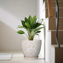 10 Inch Ceramic Planter Pot Large Plant Pot for Indoor Plants Outdoor Round Flower Pot with Drainage Hole and Saucer for Home Garden Decor White by CozyNest Decor