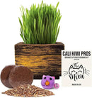 Cali Kiwi Organic Cat Grass Kit - Cat Grass for Indoor Cats with Cat Toy – Natural Hairball Remedy, Supports Digestion & Health, Single Planter (Black Gold) by GreenHaven Gardens