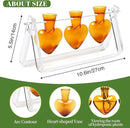 Plant Terrarium Propagation Stations with Wooden Stand Birthday Gifts for Women Plant Stand Indoor Office Home Decor by GreenHaven Gardens