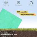 Swedish Dishcloths - 10 Pack Reusable Kitchen Dishcloths - Ultra Absorbent Dish Towels for Washing Dishes - Cellulose Sponge Cloth Cleaning Cloths - Green by CozyNest Decor