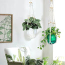 Small Hanging Planters Self Watering 5 Inch, 3 Set Hanging Plant Pot for Indoor Outdoor Plants, Hanging Flower Pots with Drainage Hole & 2 Kinds of Plant Hangers for Garden Home Decor by GreenHaven Gardens