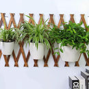 3 Packs 7.3" Plastic Self Watering Pots Wall Hanging Planters Wall Mounted Wicking Flower Pots for Indoor and Outdoor African Violet, Ocean Spider Plant, Orchid, White by GreenHaven Gardens